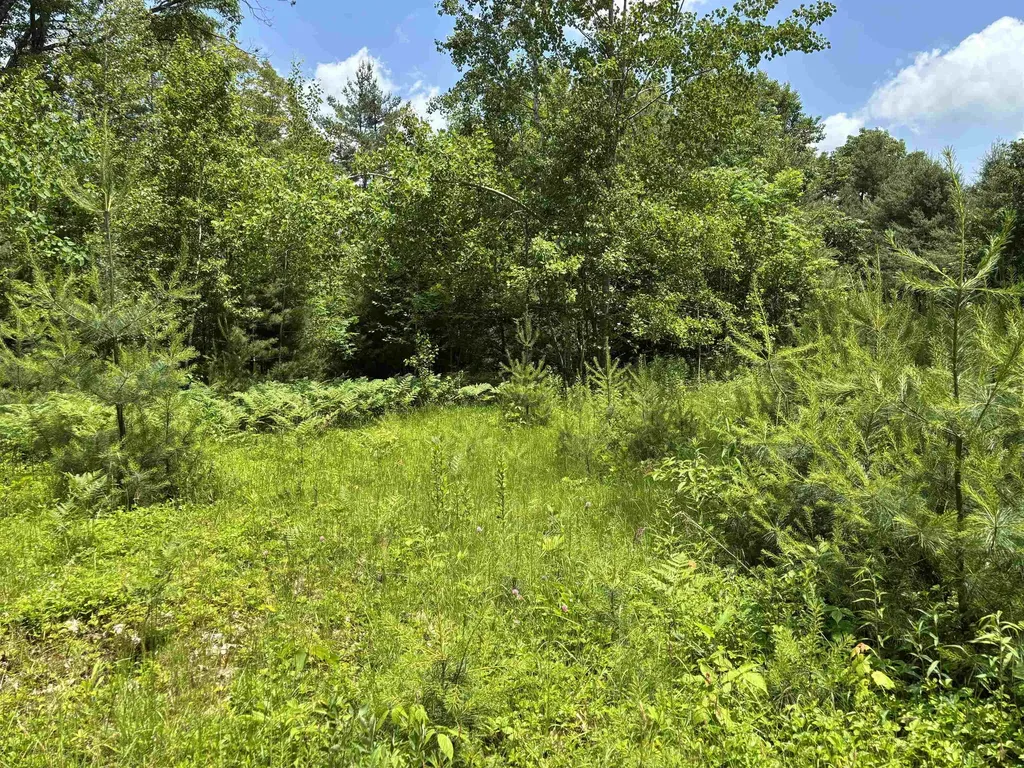 00 Simonsville Road Andover VT 05143