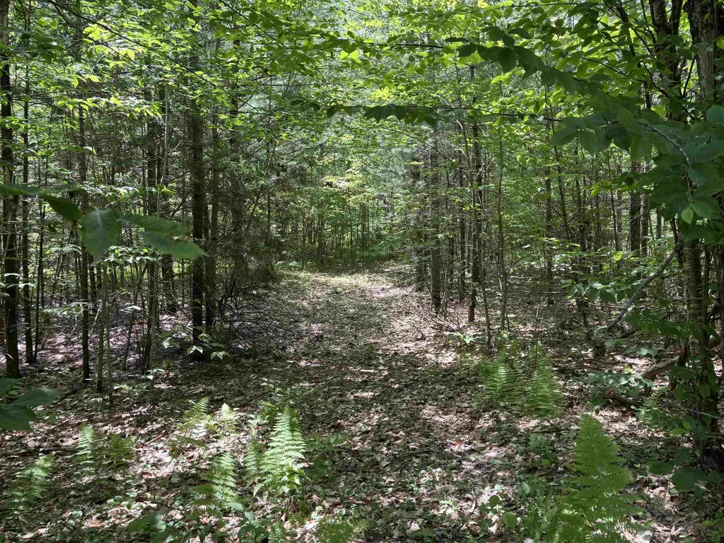 00 Simonsville Road Andover VT 05143