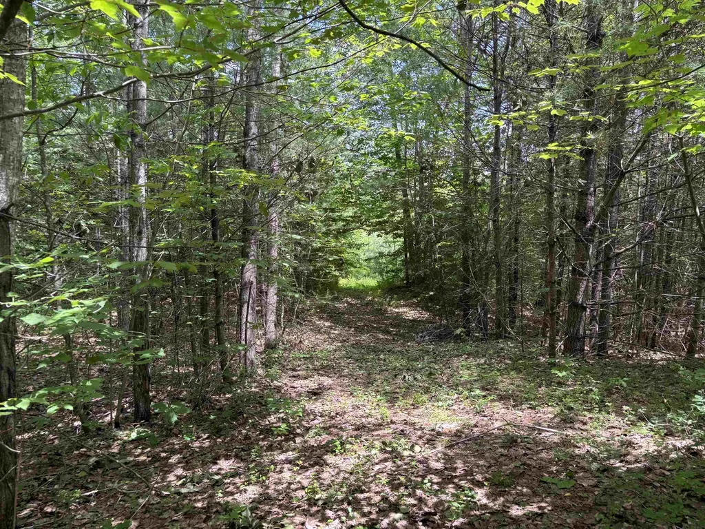 00 Simonsville Road Andover VT 05143