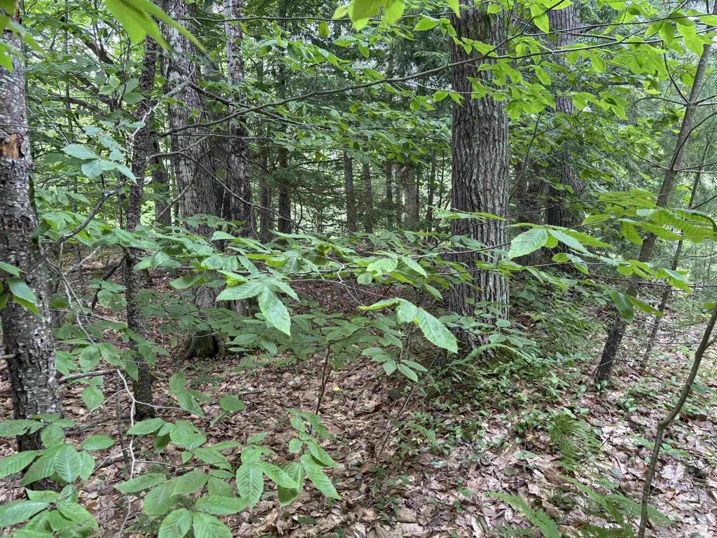 00 Simonsville Road Andover VT 05143