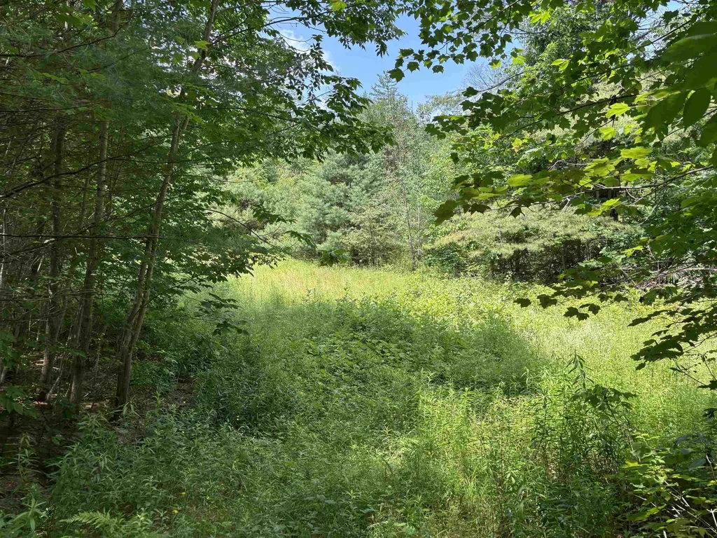 00 Simonsville Road Andover VT 05143