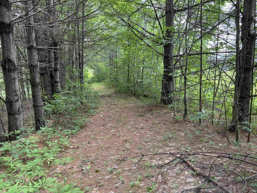 00 Simonsville Road Andover VT 05143