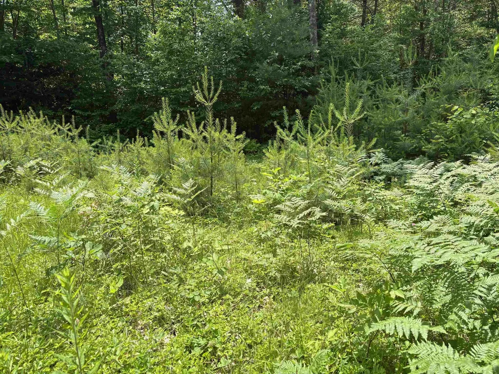 00 Simonsville Road Andover VT 05143