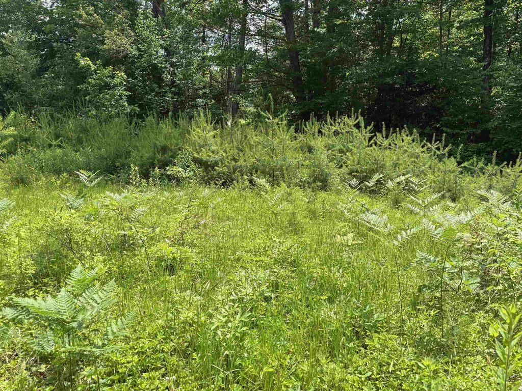 00 Simonsville Road Andover VT 05143