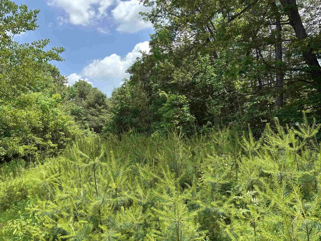 00 Simonsville Road Andover VT 05143