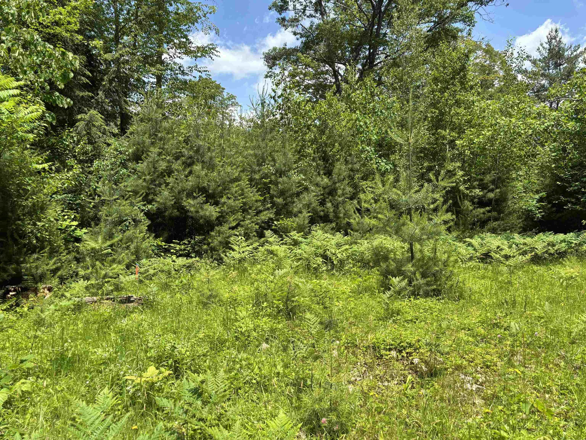 00 Simonsville Road Andover VT 05143