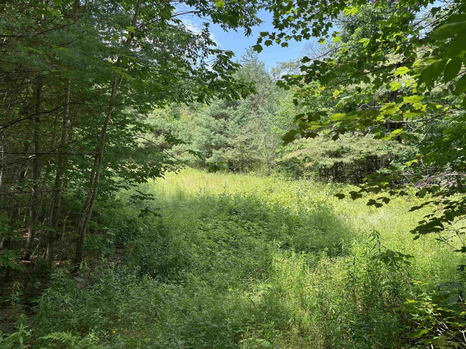 00 Simonsville Road Andover VT 05143