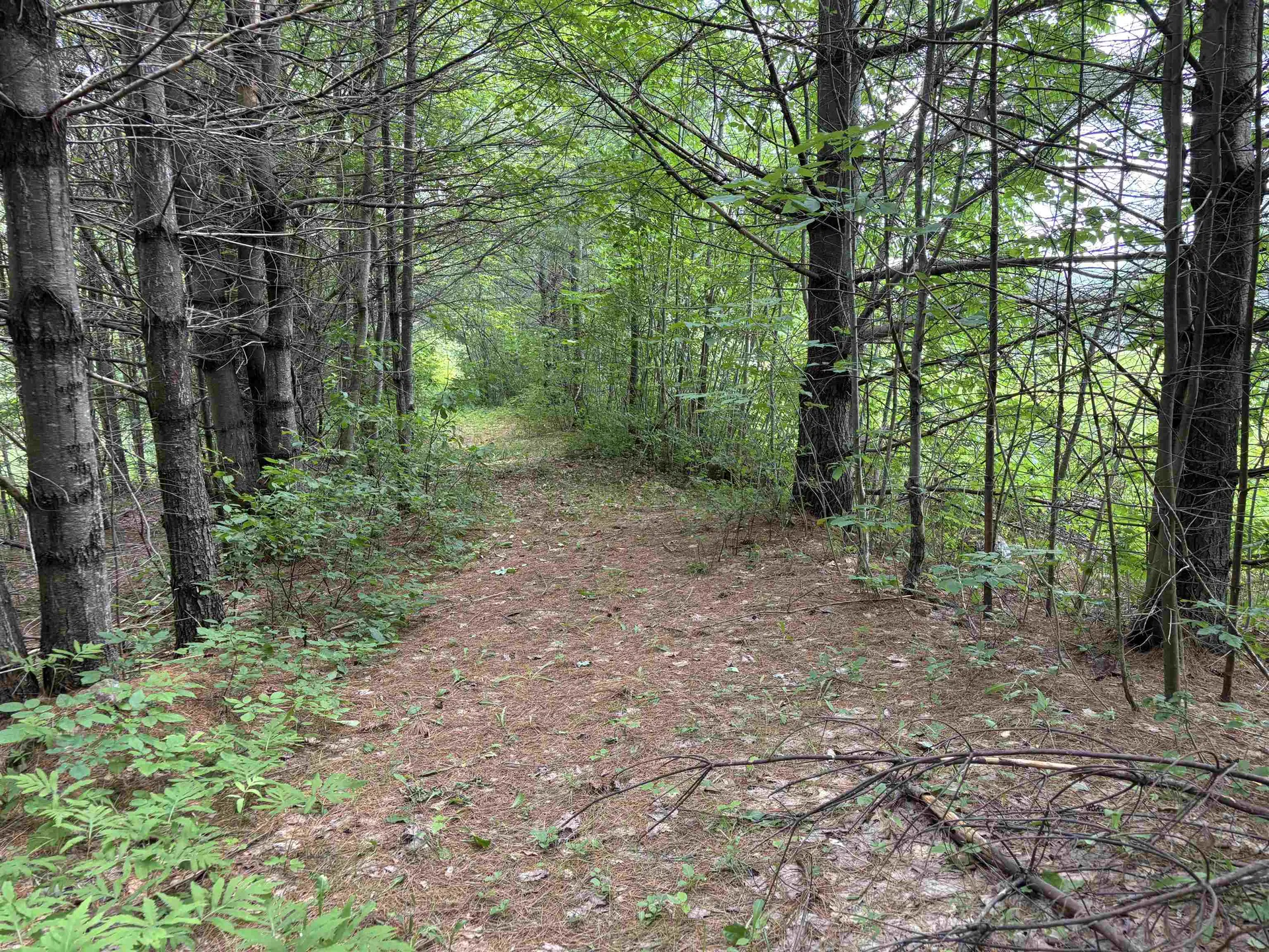 00 Simonsville Road Andover VT 05143