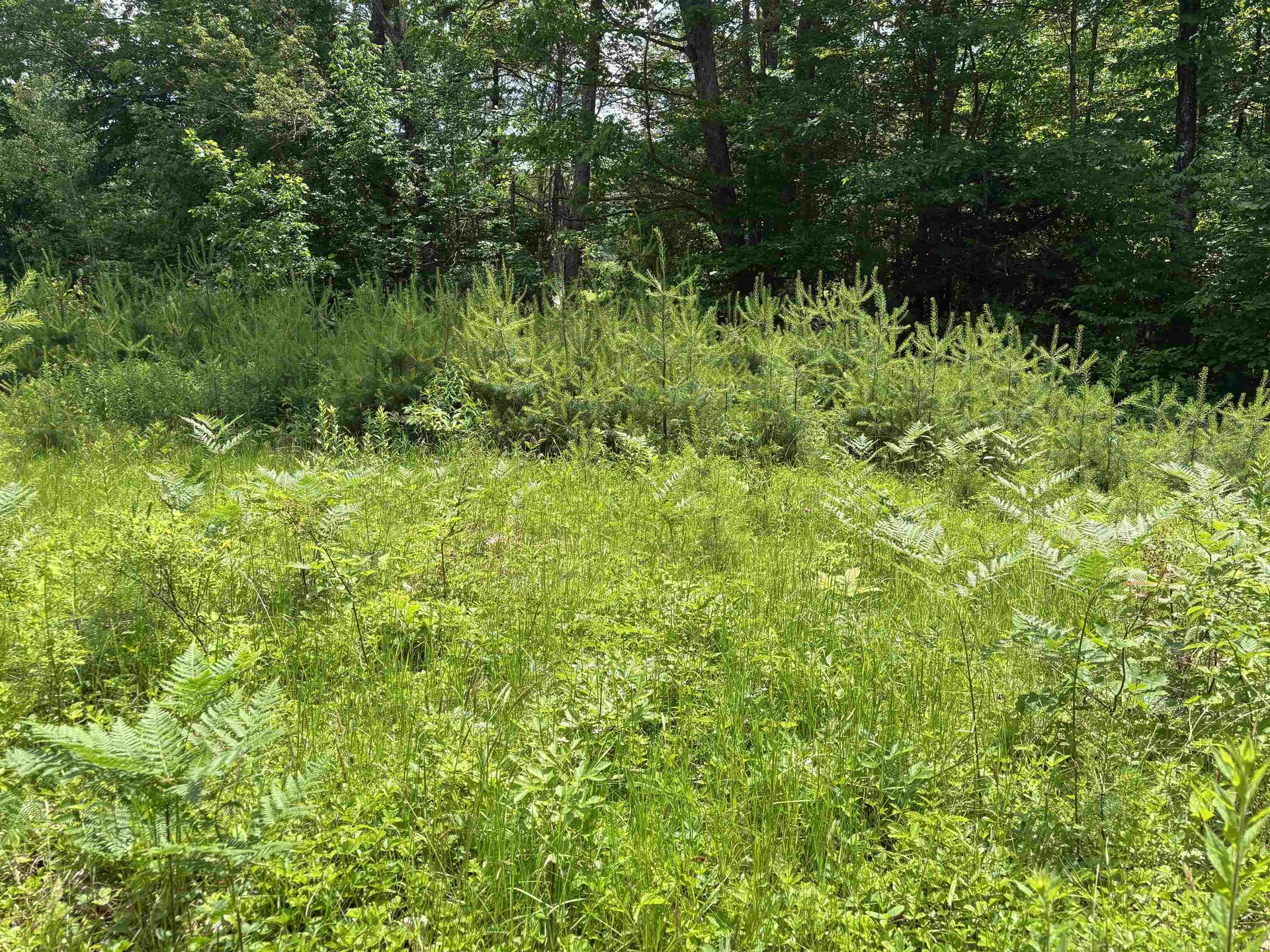 00 Simonsville Road Andover VT 05143