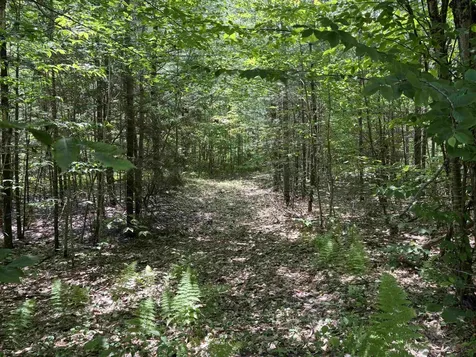 00 Simonsville Road Andover VT 05143