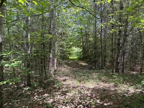 00 Simonsville Road Andover VT 05143