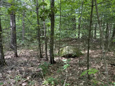 00 Simonsville Road Andover VT 05143