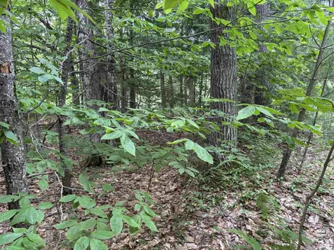 00 Simonsville Road Andover VT 05143