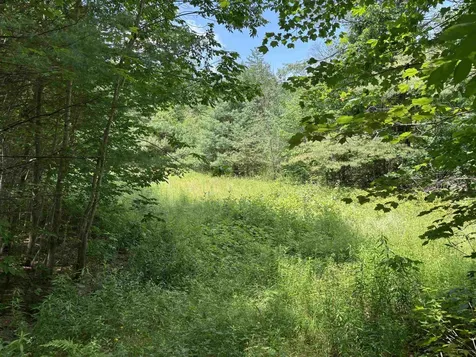 00 Simonsville Road Andover VT 05143