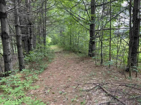 00 Simonsville Road Andover VT 05143