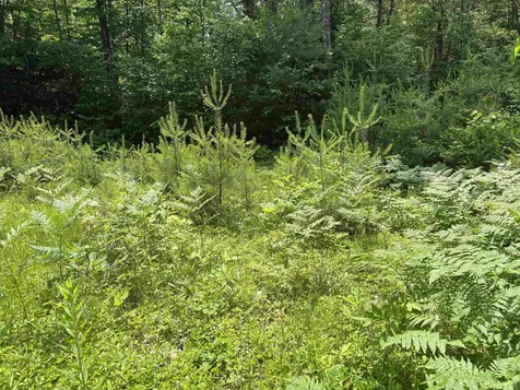 00 Simonsville Road Andover VT 05143