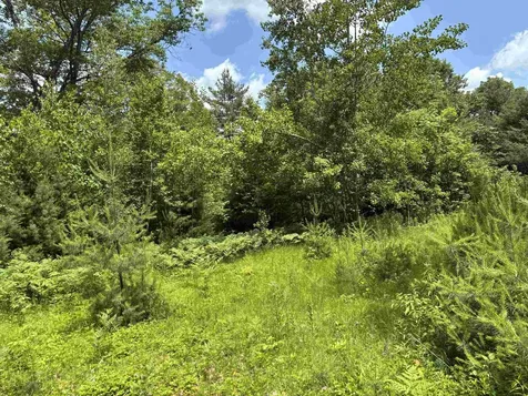 00 Simonsville Road Andover VT 05143