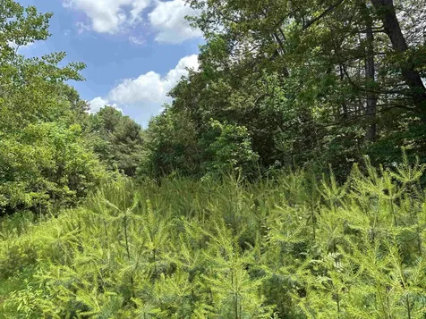 00 Simonsville Road Andover VT 05143