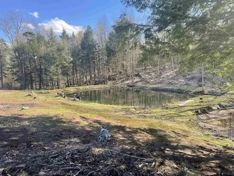 922 Crawford Trail Westfield VT 05874-7809