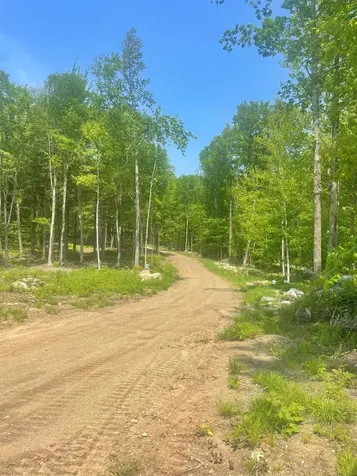 922 Crawford Trail Westfield VT 05874-7809