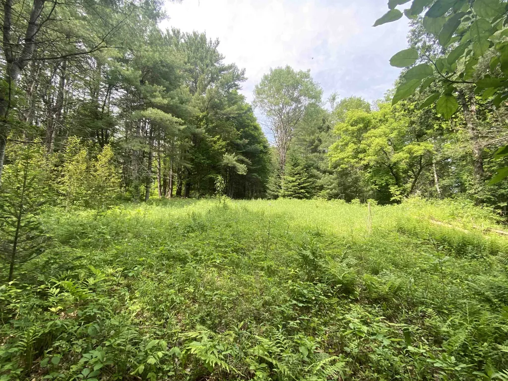 0 Simpson Brook Road Waterford VT 05848
