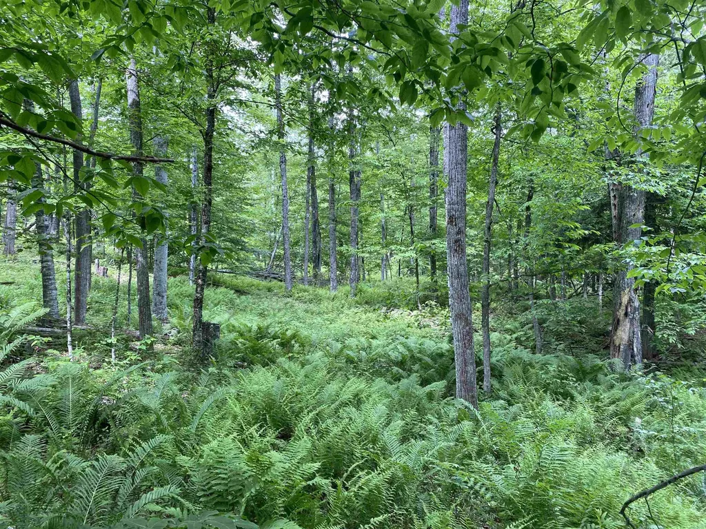 0 Simpson Brook Road Waterford VT 05848