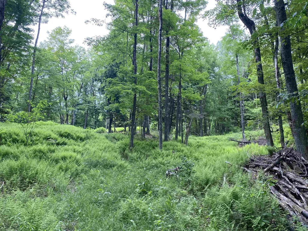 0 Simpson Brook Road Waterford VT 05848