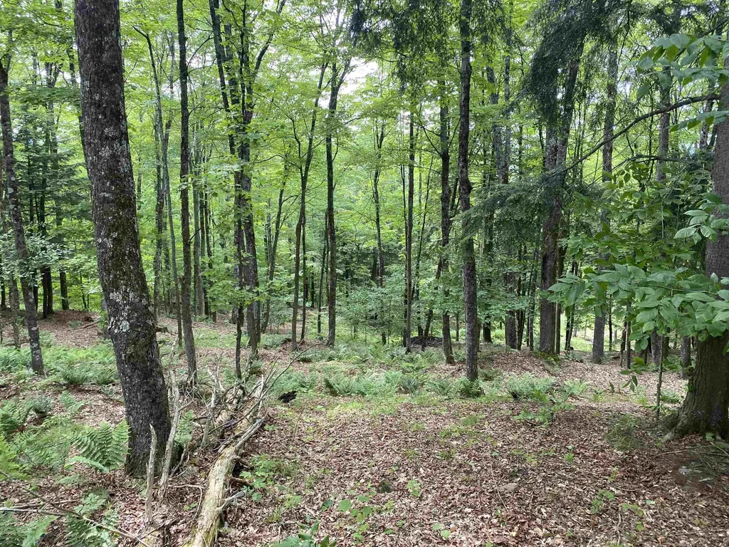 0 Simpson Brook Road Waterford VT 05848