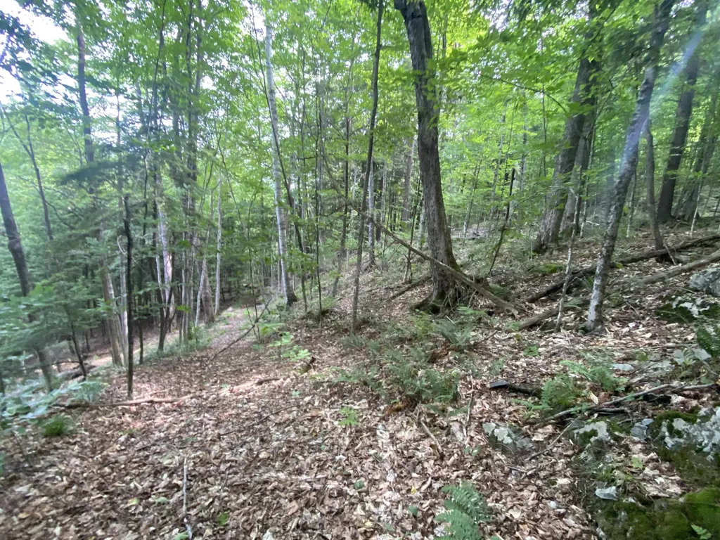 0 Simpson Brook Road Waterford VT 05848