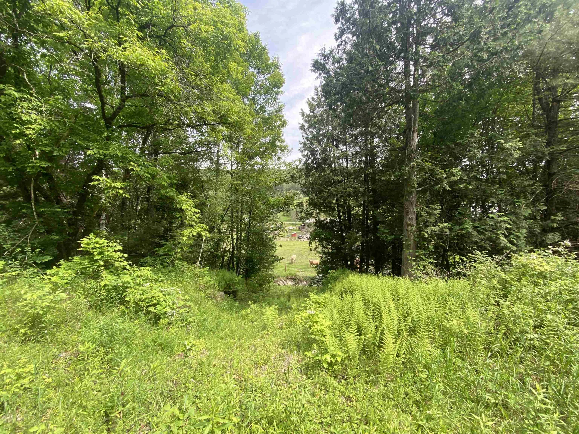 0 Simpson Brook Road Waterford VT 05848