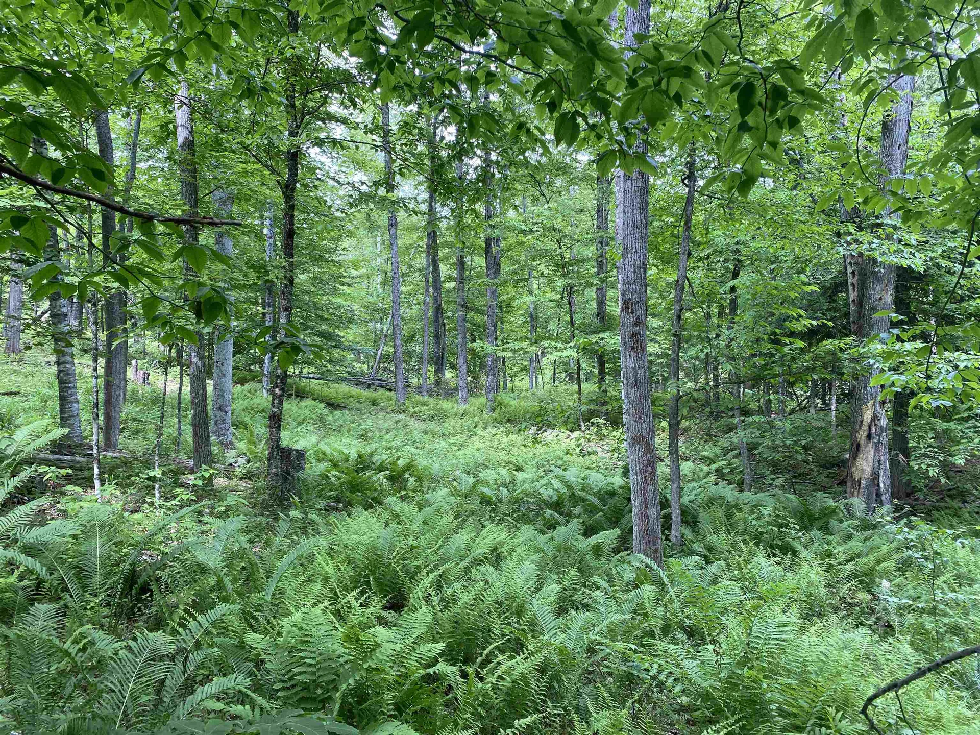 0 Simpson Brook Road Waterford VT 05848