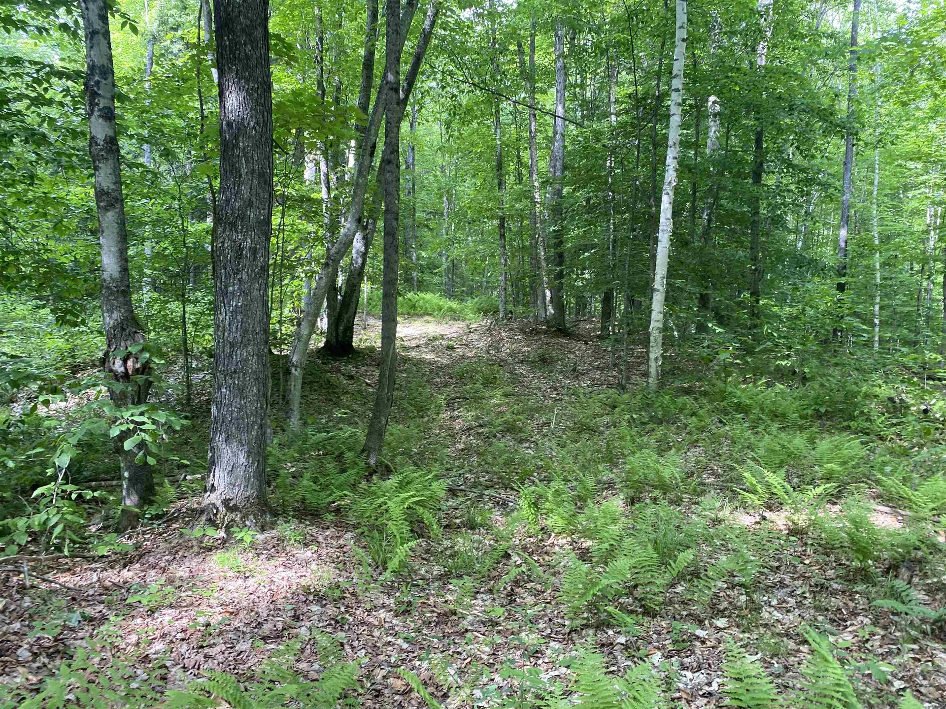 0 Simpson Brook Road Waterford VT 05848