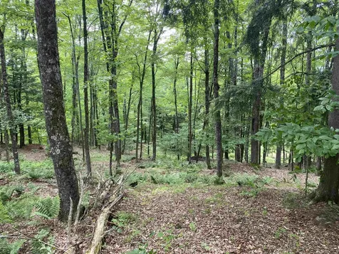 0 Simpson Brook Road Waterford VT 05848