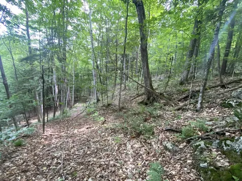 0 Simpson Brook Road Waterford VT 05848