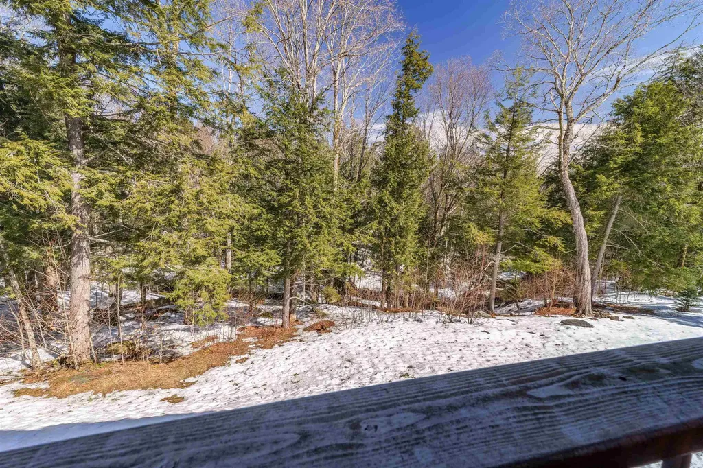 11 Corriveau Way Wilmington VT 05360