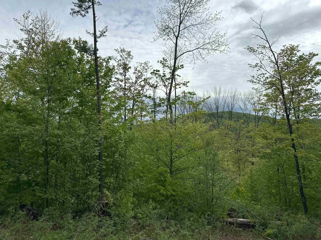 00 Hall Road Chelsea VT 05038