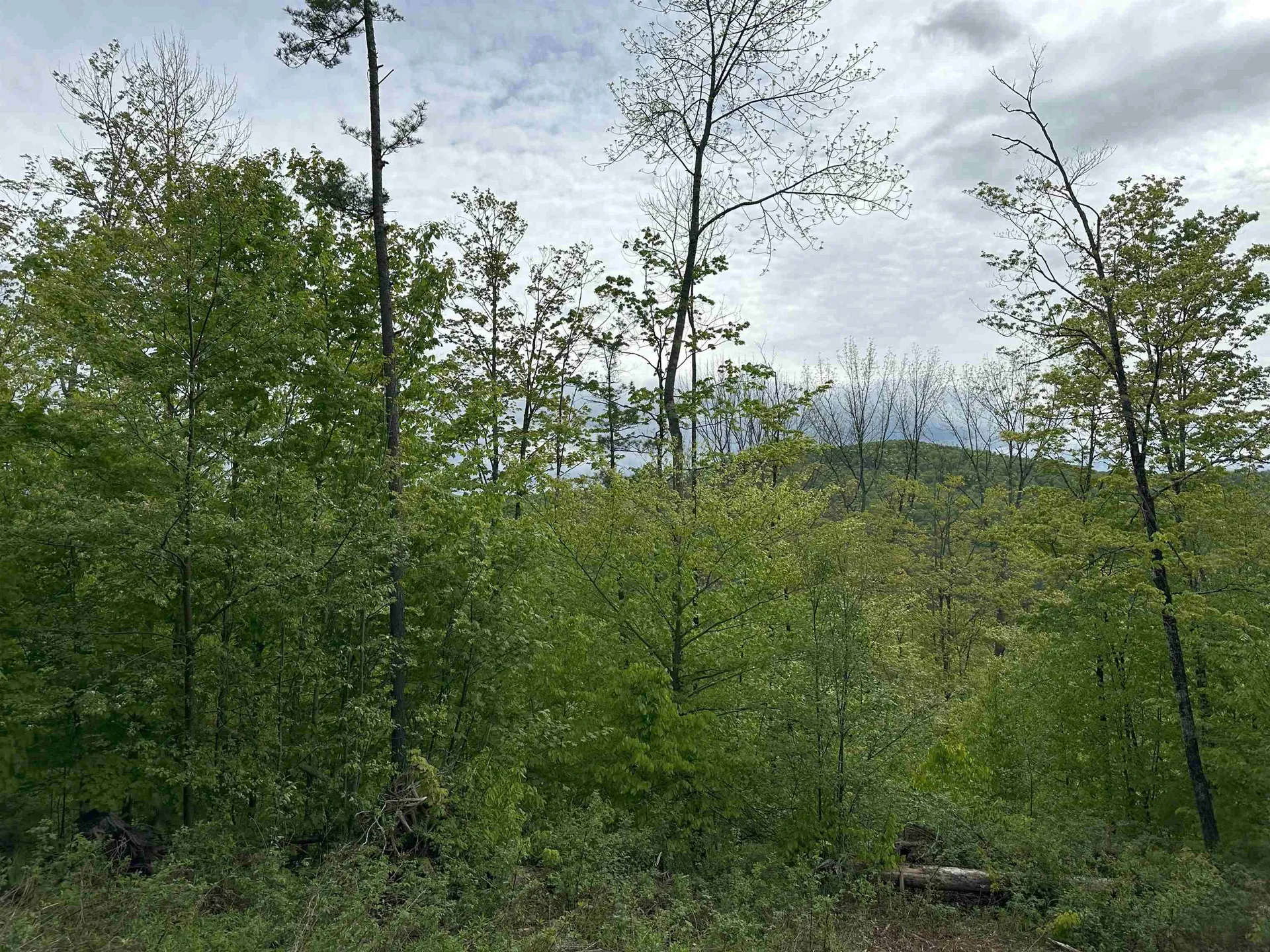 00 Hall Road Chelsea VT 05038