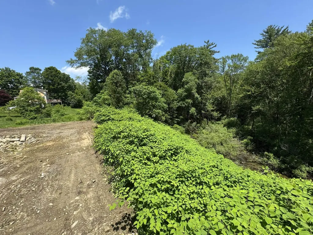 36 Canal Street Chesterfield NH 03462