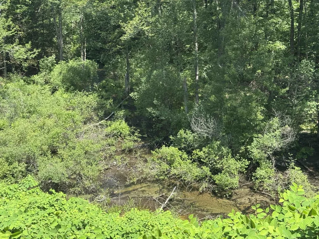 36 Canal Street Chesterfield NH 03462