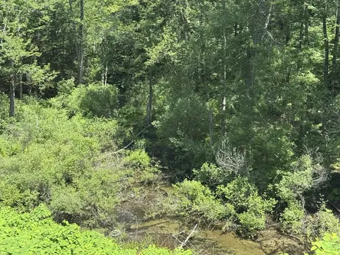 36 Canal Street Chesterfield NH 03462