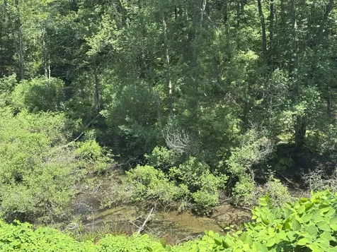 36 Canal Street Chesterfield NH 03462