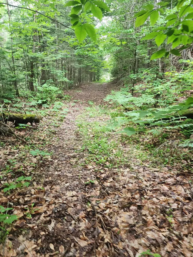 1602 East Haven Road Brighton VT 05846