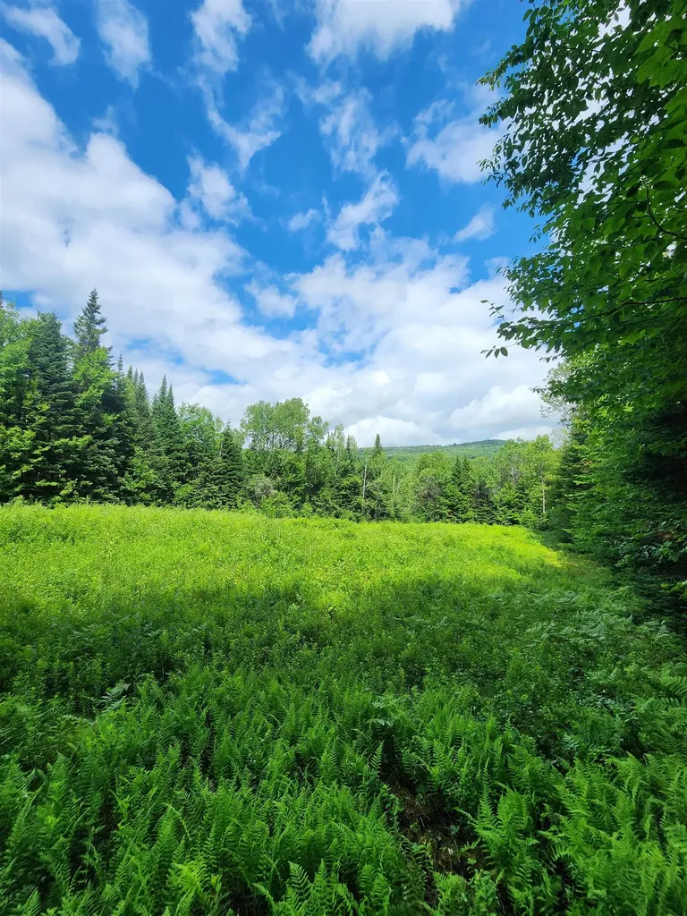 1602 East Haven Road Brighton VT 05846