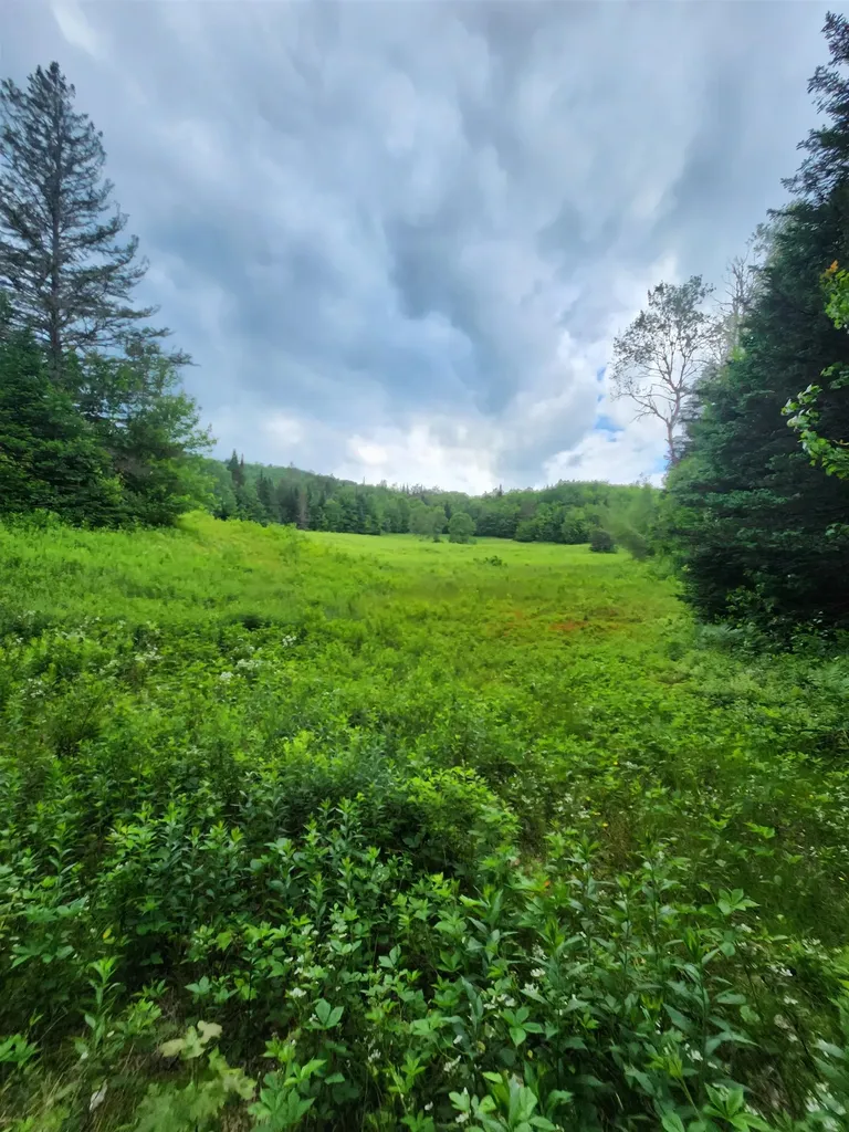 1602 East Haven Road Brighton VT 05846