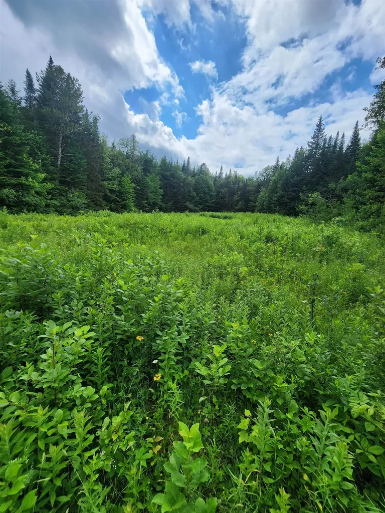 1602 East Haven Road Brighton VT 05846