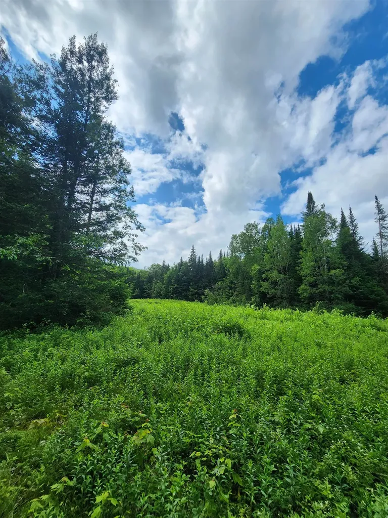 1602 East Haven Road Brighton VT 05846