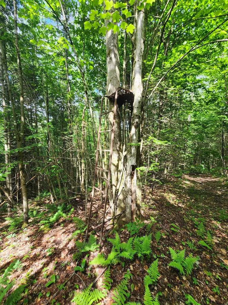 1602 East Haven Road Brighton VT 05846