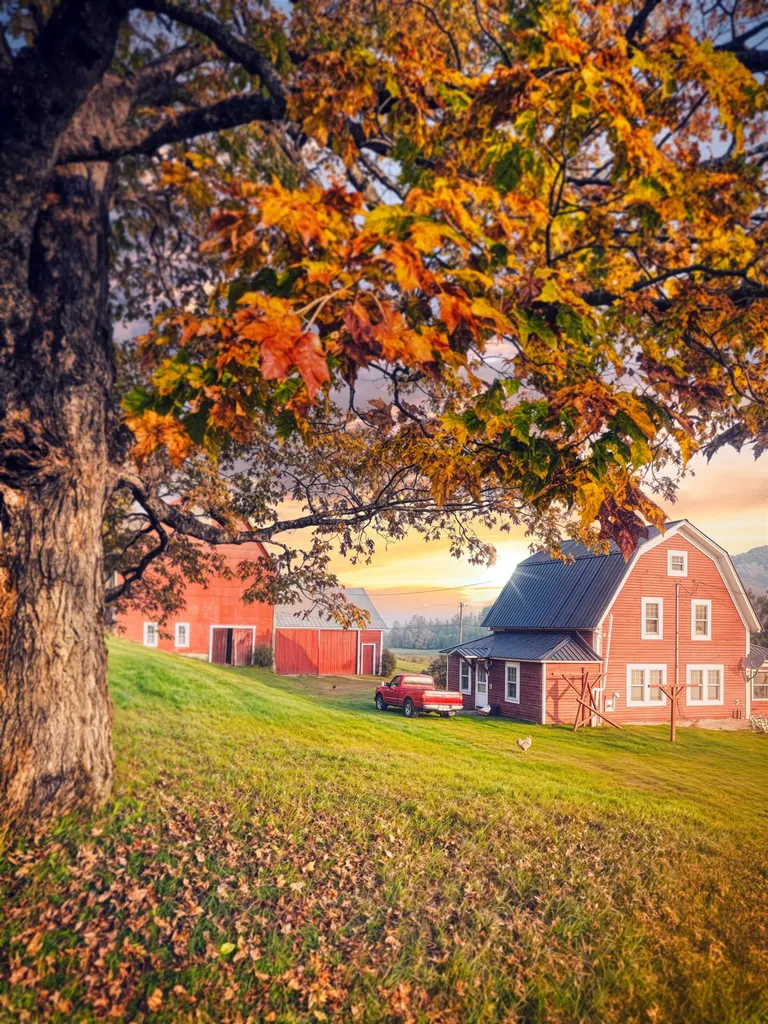 1602 East Haven Road Brighton VT 05846