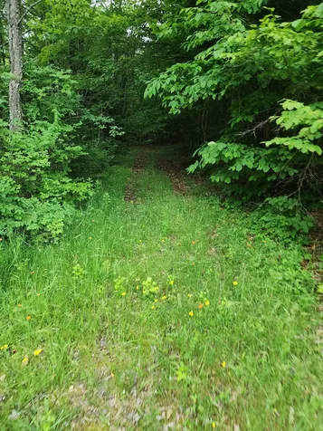 1602 East Haven Road Brighton VT 05846