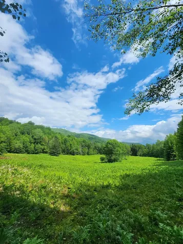 1602 East Haven Road Brighton VT 05846